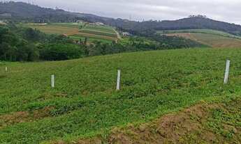 Imagem 7: Imóvel para venda tem 500 metros quadrados em Centro (Caucaia do Alto) - Cotia - SP