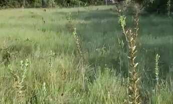 Imagem 2: Terreno 3.925 m2 em Nova Lima Balneário Água Limpa distrito de Itabirito