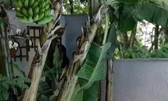 Imagem 3: CASA - SANTANA DE PARNAÍBA