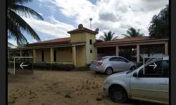 Imagem: Sítio em Serrinha com 03 quartos