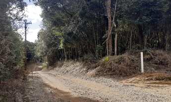 Imagem 6: Vende se terreno na Contenda em São José dos Pinhais