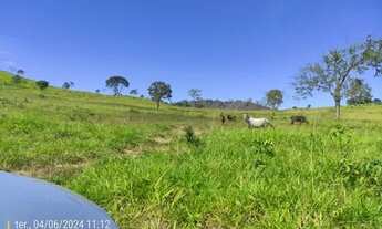 Imagem 2: FAZENDA DE OPORTUNIDADE - 33 ALQUEIRES