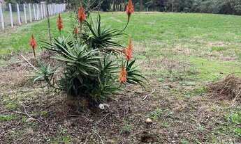 Imagem 2: Terreno 5.800m2 Região do Caminho do Vinho próximo a fábrica da Renault