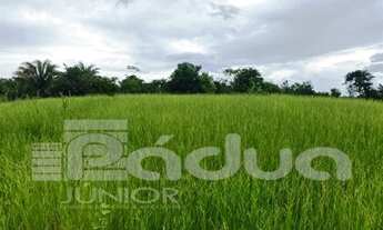 Imagem 7: Fazenda em Indiaroba com 163 Tarefas