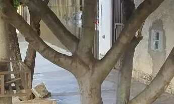 Imagem 4: Casa com 3 dormitórios à venda, 120 m² por R$ 320.000,00 - Eldorado - São José do Rio Pret