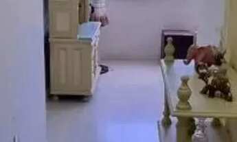 Imagem 10: APARTAMENTO - CENTRO - SC