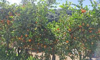 Imagem 7: Casa tipo sítio para venda possui 3 quartos em Parque Boa União - Teresópolis - RJ