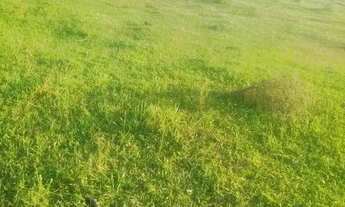 Imagem 2: Imóvel para venda tem 318 metros quadrados em Morro Grande - Araruama - RJ