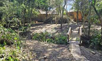 Imagem: Grande área no bairro Olaria