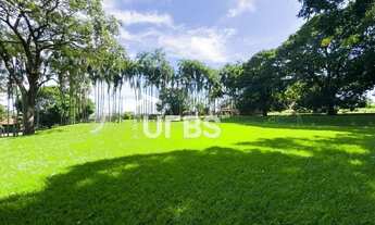 Imagem 6: Chácara a venda, Bairro São Pedro, Aparecida de Goiânia com 43.425,00m² de área