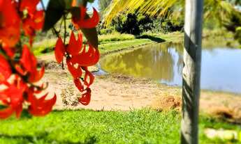 Imagem 4: FAZENDA produtiva com 30 Alqueires e pivô em Hidrolandia Dupla Aptidão