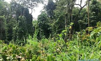 Imagem 2: TERRENO EM CONDOMÍNIO - ARUJAZINHO 1, 2, 3 - SP