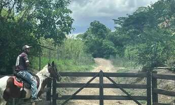 Imagem: Fazenda 40 Alqueires em Agua Fria Goiás