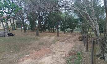 Imagem 5: Sítio em Limeira