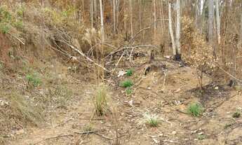 Imagem 6: Terreno Boa Vista 1.200M