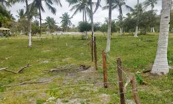 Imagem 6: Vendo lote lagoa redonda Pirambu