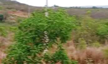 Imagem: Vendo terreno de 2000 metros ou só 1000