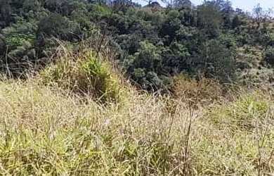 Imagem 3: Lotes de 500m² no interior de São Paulo - São Roque