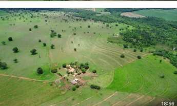 Imagem 4: Fazenda dupla aptidão campina verde