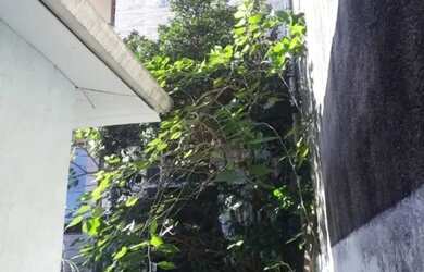 Imagem 7: CASA ASSOBRADADA - CENTRO - SP