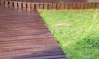 Imagem: Alugo casa em jurere internacional a 200