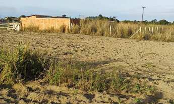 Imagem 3: Vendo 2 terrenos na zona rural de Campos dos Goytacazes a 100 metros do asfalto