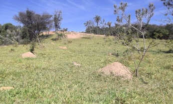 Imagem 2: Linda fazenda sem sede, de 82 hectares, * WhtsApp Guilherme