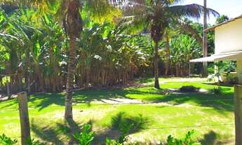 Imagem 3: BELÍSSIMA PROPRIEDADE SITIO FAZENDA GUARAPARI