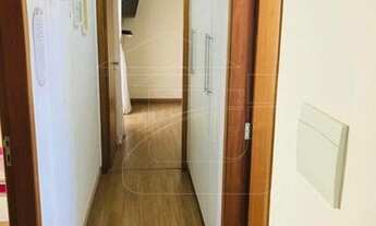 Imagem 4: Marília - Casa Padrão - Jardim Colibri