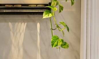 Imagem 7: Belo Horizonte - Apartamento Padrão - Lourdes