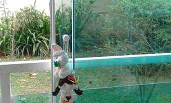 Imagem 5: Apartamento com 2 dorms, Paraisópolis, São Paulo - R$ 250 mil, Cod: 3233