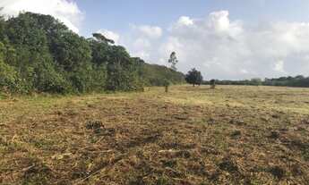 Imagem 5: Lote/Terreno para venda com 50000 metros quadrados em Aldeia dos Camarás - Camaragibe - PE
