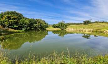 Imagem 4: Chácara em Goianesia