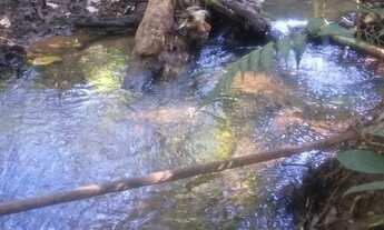 Imagem 7: Fazenda à venda em Goianápolis