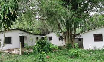 Imagem 5: Sítio 12 hectares em Águas claras, Viamão com duas casas, galpão e açude