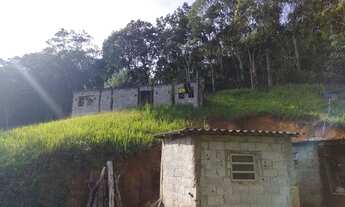 Imagem 4: 1 lindo hectare com casa e sinal de internet fibra ótica instalada apenas