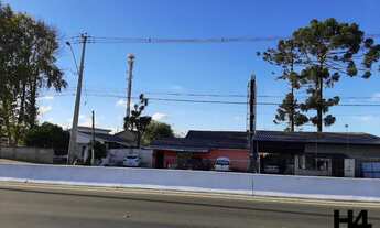 Imagem 6: Terreno comercial em excelente localização no Bairro Jardim Primavera em Piraquara, com 30