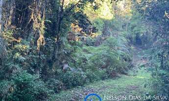 Imagem 5: Ótima oportunidade....03 (tres) áreas com 20.000m² em São Lourenço da Serra