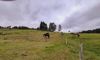 Imagem: Chácara pronta para morar localizada em