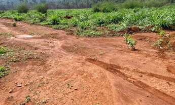 Imagem 4: Fazenda para ARREDAMENTO no Mato Grosso!