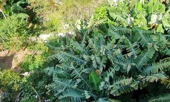 Imagem 2: Excelente terreno de 327,60m2 no bairro de Coqueiros