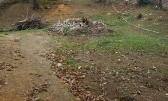 Imagem 6: BELO HORIZONTE - Terreno Padrão - Etelvina Carneiro