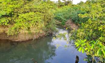 Imagem 3: Fazenda em Goianesia