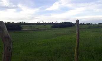 Imagem 6: Fazenda com 50 hectares estruturada na região de Monte Alegre