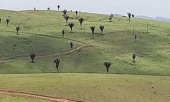 Imagem 4: Fazenda Sul da Bahia. Guaratinga