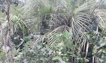 Imagem 6: Sitio 3.7 Hectares//Ótimo Acesso /Rio PERENE///Saída Pirapora!!