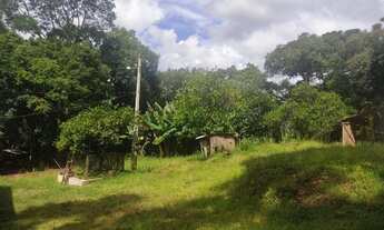 Imagem 6: São Francisco de Paula - Sítio - Samambaia