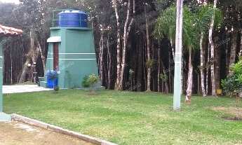 Imagem 7: Excelente Chácara Sem Benfeitorias