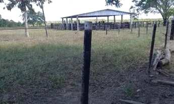 Imagem 4: Oportunidade: Fazenda de 38 Alqueires - Monte Santo - TO