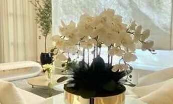 Imagem 4: Sobrado Quinta das Paineiras